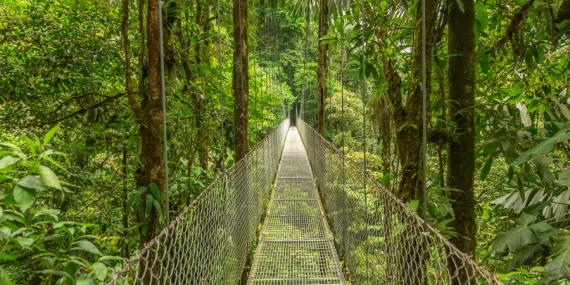 Incontournable au Costa Rica - Parc National d'Arenal