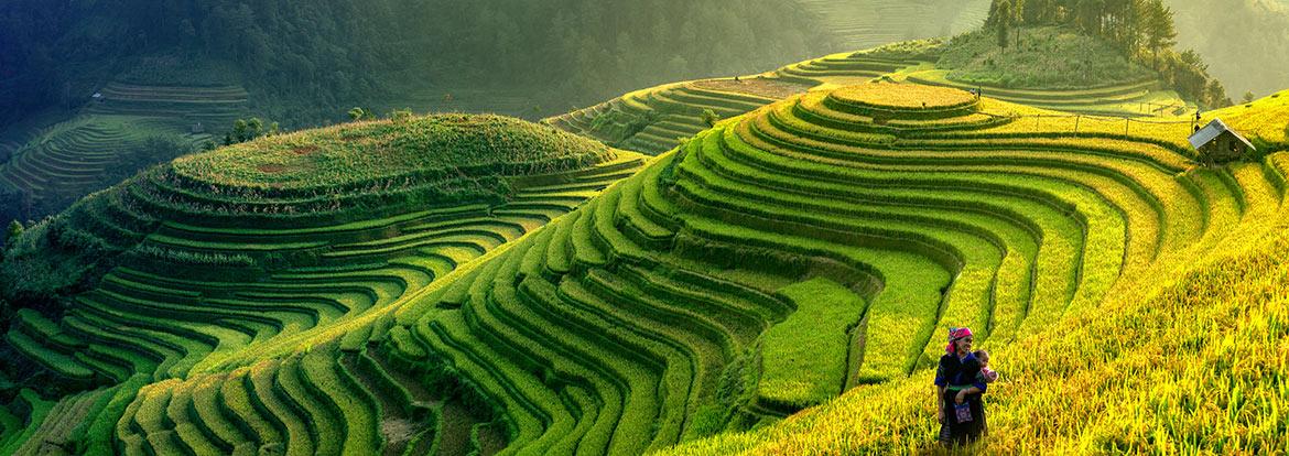 <strong>Voyage Vietnam</strong>  Une Évasion Inoubliable