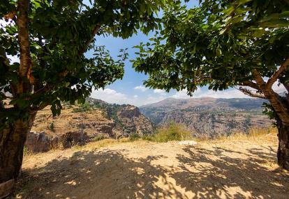 Voyage au Liban - Sur les vieux sentiers