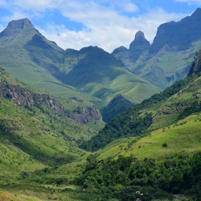 Circuit en Afrique du Sud - Les réserves du Zululand à pied