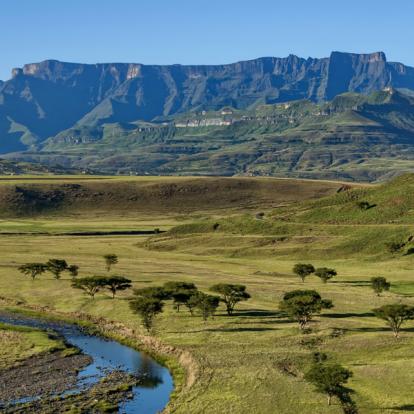 Voyage en Afrique du Sud - Les réserves du Zululand à pied