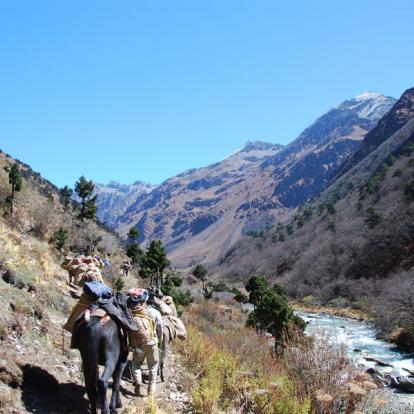 Circuit au Bhoutan : Jhomolhari, Trek au Pied de L'Himalaya