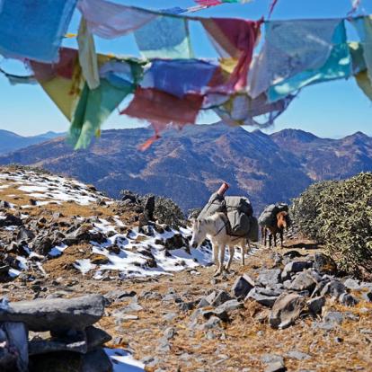 Voyage au Bhoutan : Trekking Dagala et les 1000 Lacs