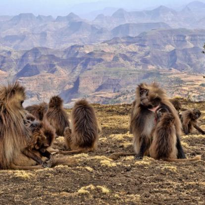Circuit en Ethiopie : Incomparable Ethiopie