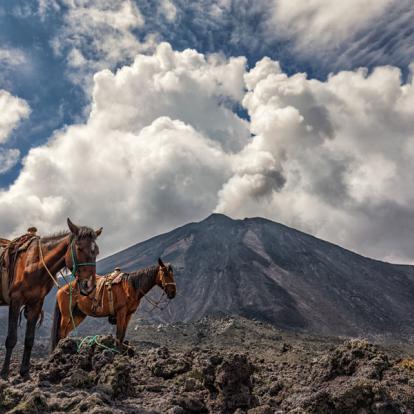 Circuit au Guatemala : Aventure Maya à cheval