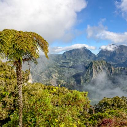 Voyage à La Réunion: Du Lagon au Volcan