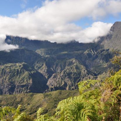 Voyage à La Réunion: Immersion Mafataise et Pitons