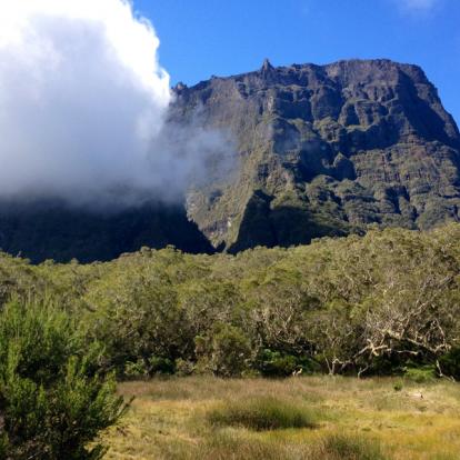 Circuit à La Réunion: Immersion Mafataise et Pitons