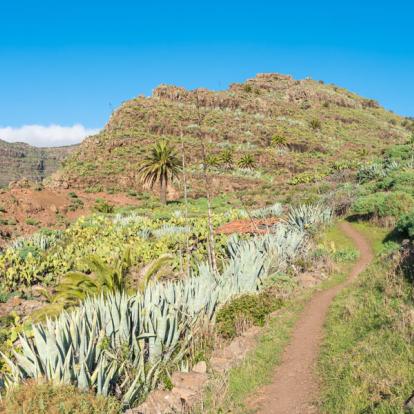 Voyage aux Iles Canaries : Balades au Cœur des Parcs Nationaux