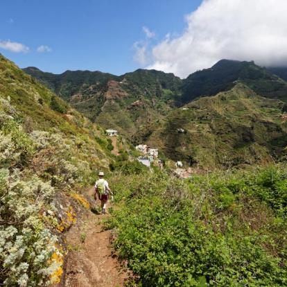 Circuit aux Iles Canaries : Randonnée à Tenerife, Entre Mer et Montagne