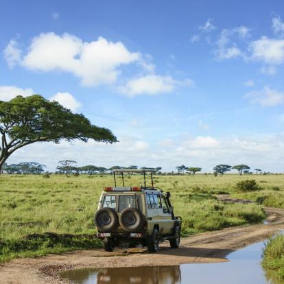 Voyage en Tanzanie : Trésors et Tribus de Tanzanie