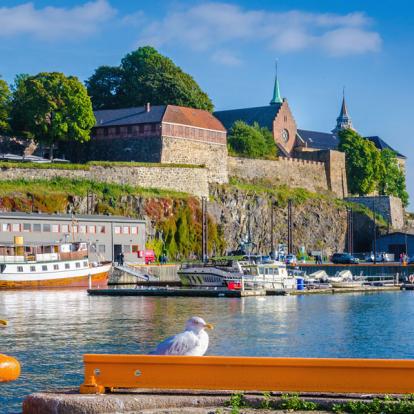 Circuit en Norvège : A la Conquête des Fjords