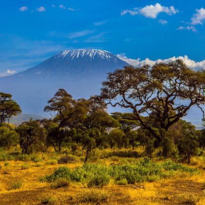 Kenya : A la découverte des Parcs Kenyans