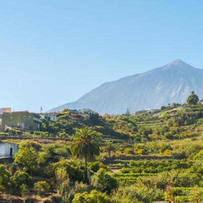 Voyage aux Canaries - Tenerife, la Gomera et la Palma en liberté