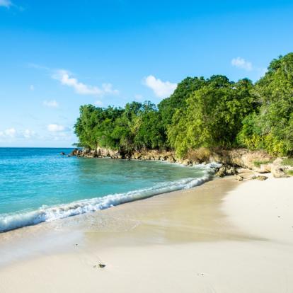 Voyage en Guadeloupe - Romance Créole