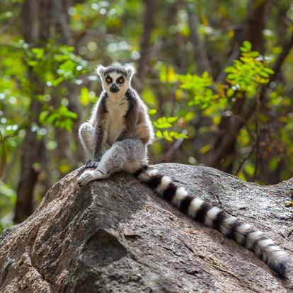 Voyage à Madagascar - Evasion Malgache