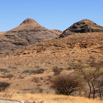 Voyage en Namibie - Moringa