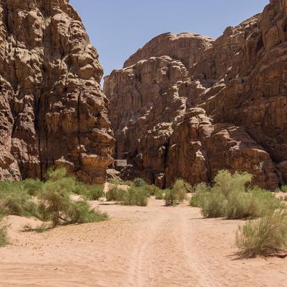 Circuit en Jordanie - Les Canyons Enchantés