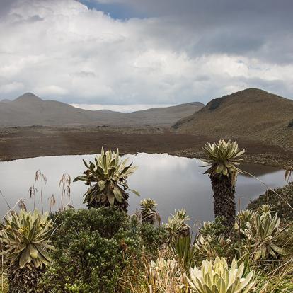 Voyage en Equateur - Terre de Contraste, Nature et Biodiversité