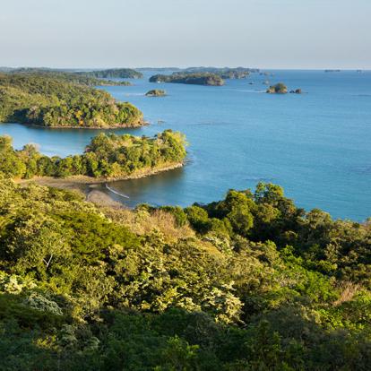 Voyage au Panama - Le Paradis des Oiseaux