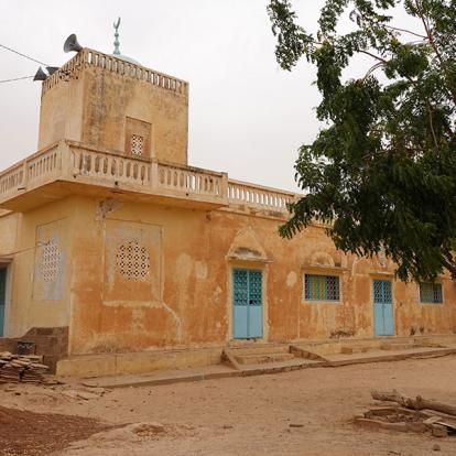 Voyage au Sénégal : Les Merveilles de la Teranga