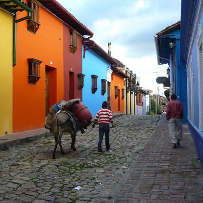 Voyage en Colombie - Les Classiques, Bogota, Région du Café et Carthagène