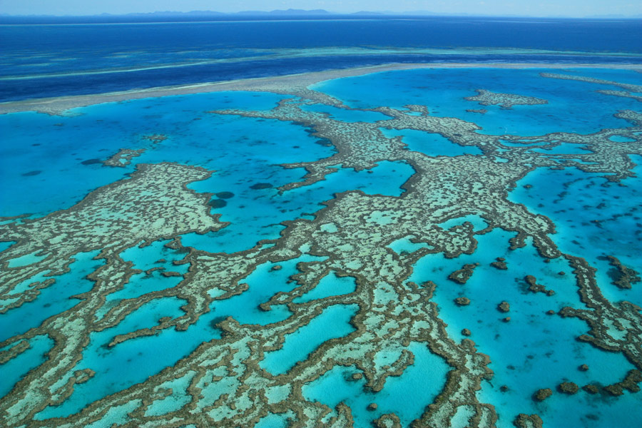 Faune et flore en Australie - Terra Australia