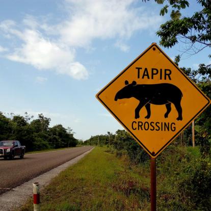 Route du District de Stann Creek Voyage au Belize - Agence de Voyage Locale Mayan Zone