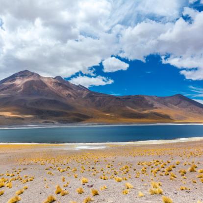 Atacama Desert - Laguna Miscanti Voyage au Chili - Agence de Voyage Locale Latinorizons