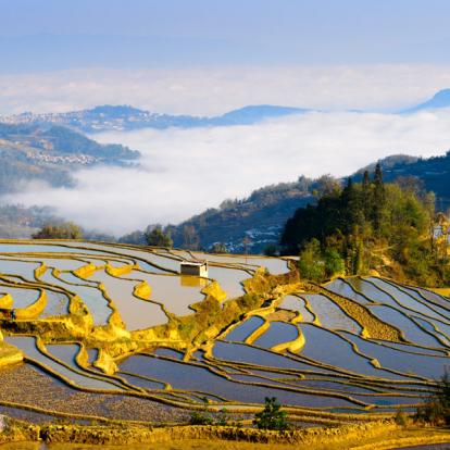Rizières Yuanyang Voyage en Chine - Agence de Voyage Locale Chine Evasion