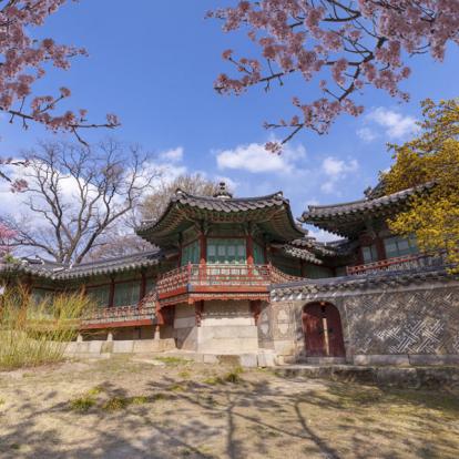 Seoul - Palais Changdeokgung Voyage en Corée du Sud - Agence de Voyage Locale Corée Voyage