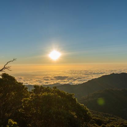Chirripo Voyage au Costa Rica - Agence de Voyage Locale Imagenes Tropicales