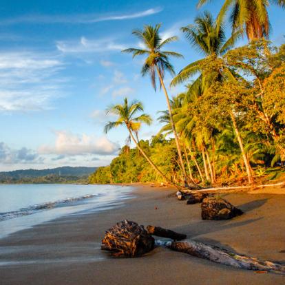 Péninsule d'Osa - Drake Bay Voyage au Costa Rica - Agence de Voyage Locale Imagenes Tropicales