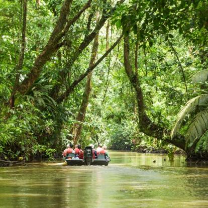 Parc National de Tortuguero Voyage au Costa Rica - Agence de Voyage Locale Imagenes Tropicales