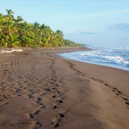 Parc National de Tortuguero Voyage au Costa Rica - Agence de Voyage Locale Trio de Turismo