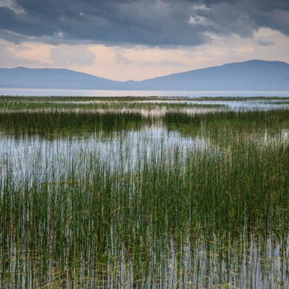 Lac Awassa Voyage en Ethiopie - Agence de Voyage Locale Aisha Tours Ethiopia