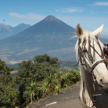 Ascension du volcan Pacaya Voyage au Guatemala - Agence de Voyage Locale Mayan Zone