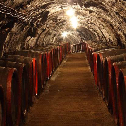 Tokaj Voyage en Hongrie - Agence de Voyage Locale Pont Tours