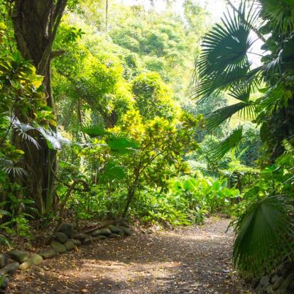 La Vanille Réserve des Mascareignes Voyage en Ile Maurice - Agence de Voyage Locale Connnections