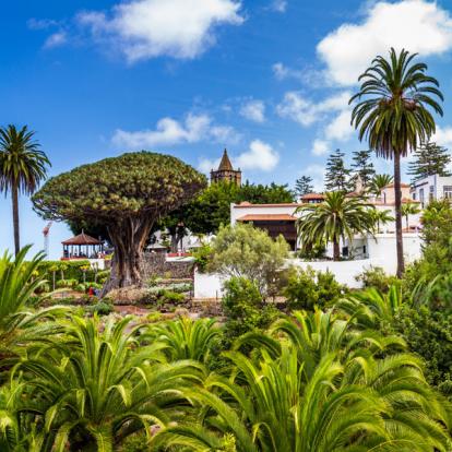 Tenerife -Icod de los Vinos Voyage aux Iles Canaries - Agence de Voyage Locale Lanzatour Canarias