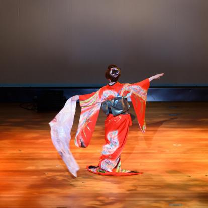 Danses de geishas Voyage au Japon - Agence de Voyage Locale Tokyo City Tour