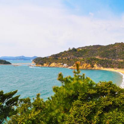 Naoshima Voyage au Japon - Agence de Voyage Locale Tokyo City Tour