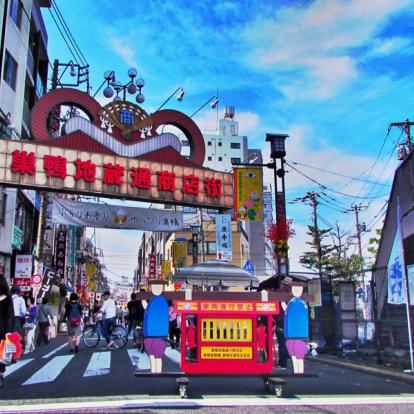 Tokyo Voyage au Japon - Guide Professionnel / Tokyo Trip