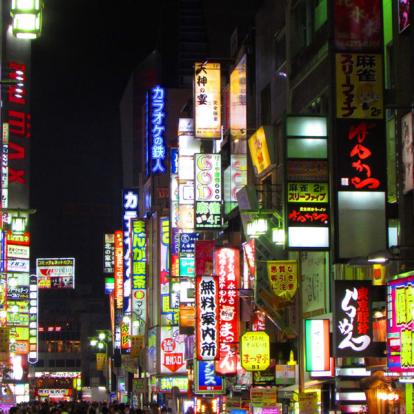 Tokyo Voyage au Japon - Guide Professionnel / Tokyo Trip