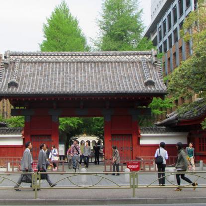 Tokto Voyage au Japon - Guide Professionnel / Tokyo Trip