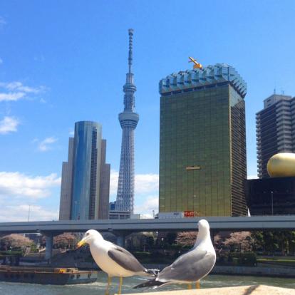 Asakusa Station Voyage au Japon - Guide Professionnel / Tokyo Trip