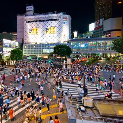 Tokyo Voyage au Japon - Guide Professionnel / Tokyo Trip