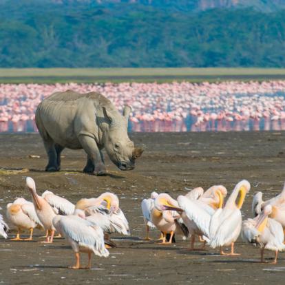Parc Nationa du Lac Nakuru Voyage au Kenya - Agence de Voyage Autrement Tembo Tours & Safaris