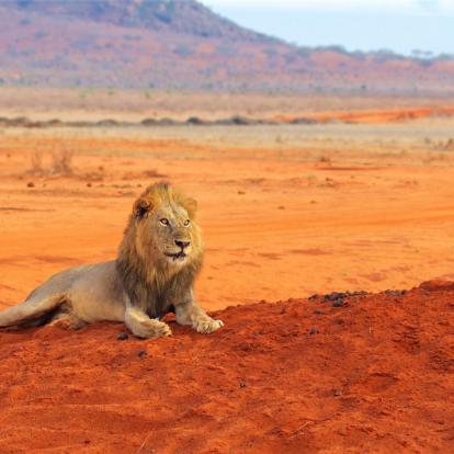 Parc National Tsavo Voyage au Kenya - Agence de Voyage Autrement Tembo Tours & Safaris