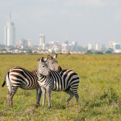 Parc National de Nairobi avec la ville de Nairobi Voyage au Kenya - Agence de Voyage Locale Wild Routes of Kenya